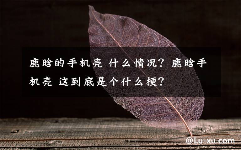 鹿晗的手機(jī)殼 什么情況？鹿晗手機(jī)殼 這到底是個(gè)什么梗？