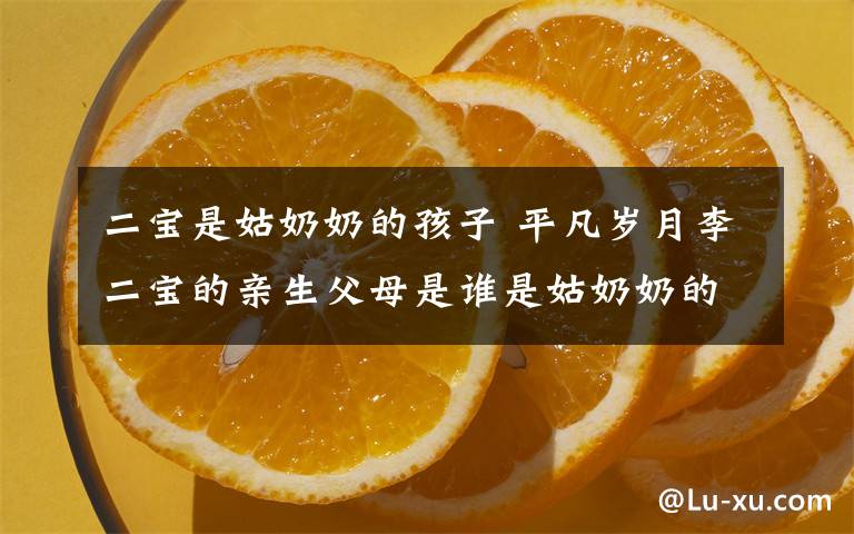 二寶是姑奶奶的孩子 平凡歲月李二寶的親生父母是誰是姑奶奶的私生子嗎？ 附分集劇情介紹