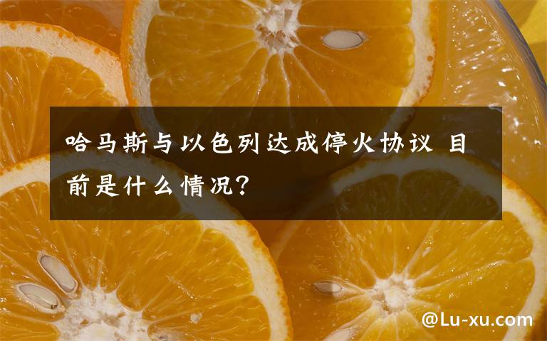 哈馬斯與以色列達(dá)成?；饏f(xié)議 目前是什么情況？