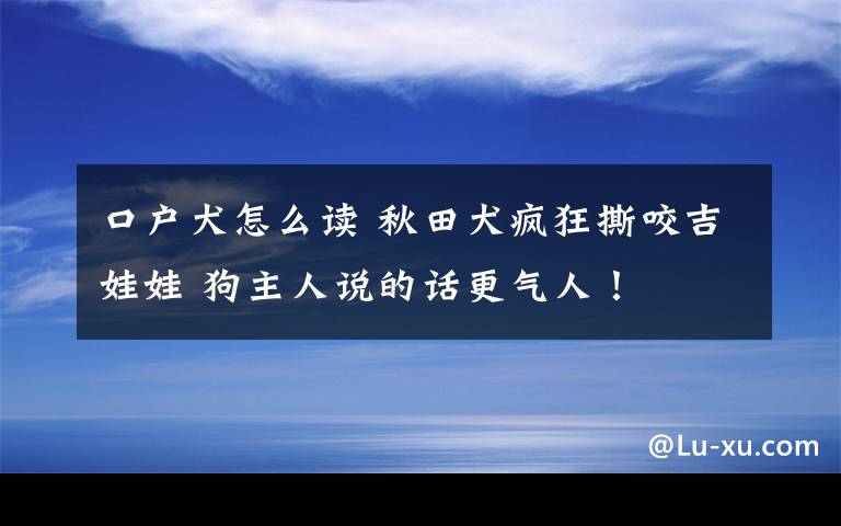 口戶犬怎么讀 秋田犬瘋狂撕咬吉娃娃 狗主人說的話更氣人！