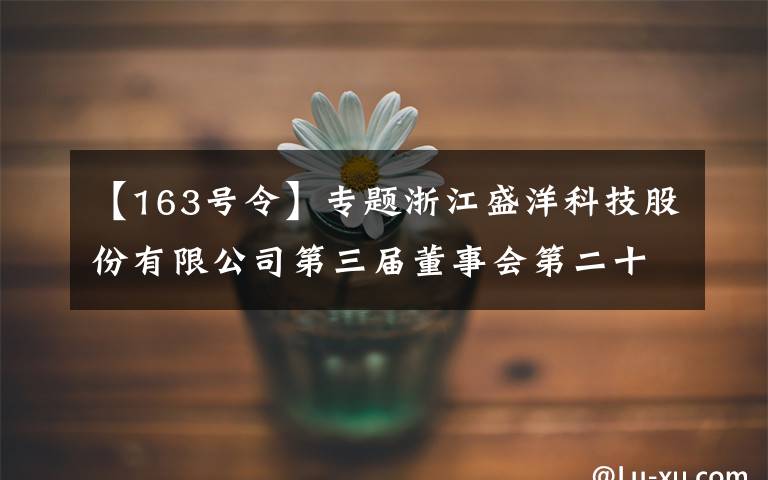 【163號令】專題浙江盛洋科技股份有限公司第三屆董事會第二十七次會議決議公告