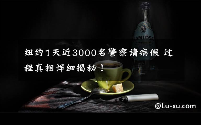 紐約1天近3000名警察請病假 過程真相詳細(xì)揭秘！