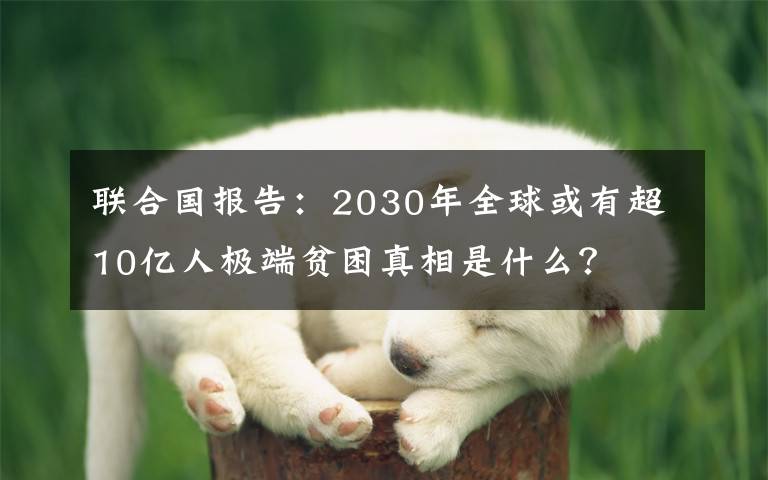 聯(lián)合國(guó)報(bào)告：2030年全球或有超10億人極端貧困真相是什么？