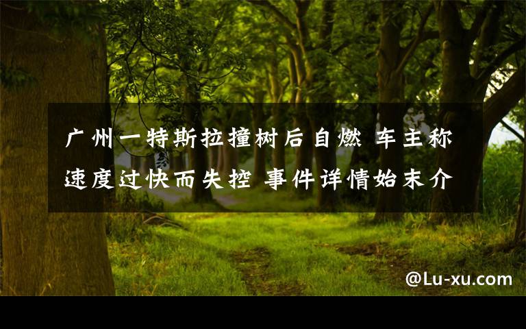 廣州一特斯拉撞樹后自燃 車主稱速度過快而失控 事件詳情始末介紹！