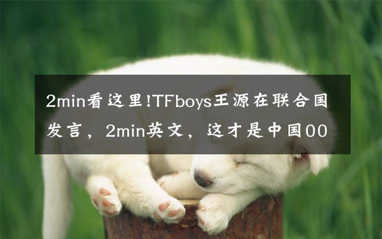 2min看這里!TFboys王源在聯(lián)合國發(fā)言，2min英文，這才是中國00后