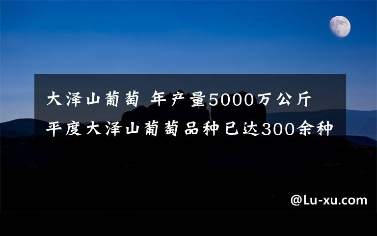 大澤山葡萄 年產(chǎn)量5000萬(wàn)公斤 平度大澤山葡萄品種已達(dá)300余種