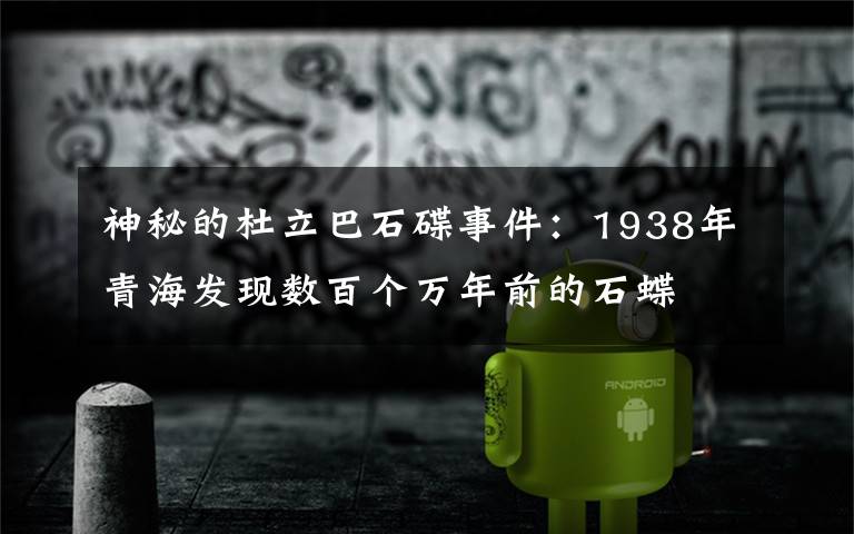 神秘的杜立巴石碟事件：1938年青海發(fā)現(xiàn)數(shù)百個(gè)萬年前的石蝶