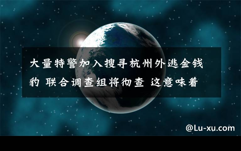 大量特警加入搜尋杭州外逃金錢豹 聯(lián)合調(diào)查組將徹查 這意味著什么?