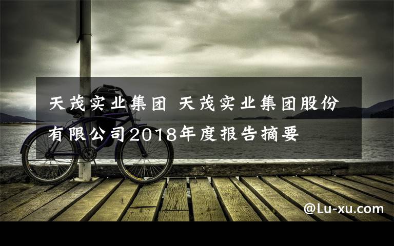 天茂實(shí)業(yè)集團(tuán) 天茂實(shí)業(yè)集團(tuán)股份有限公司2018年度報告摘要