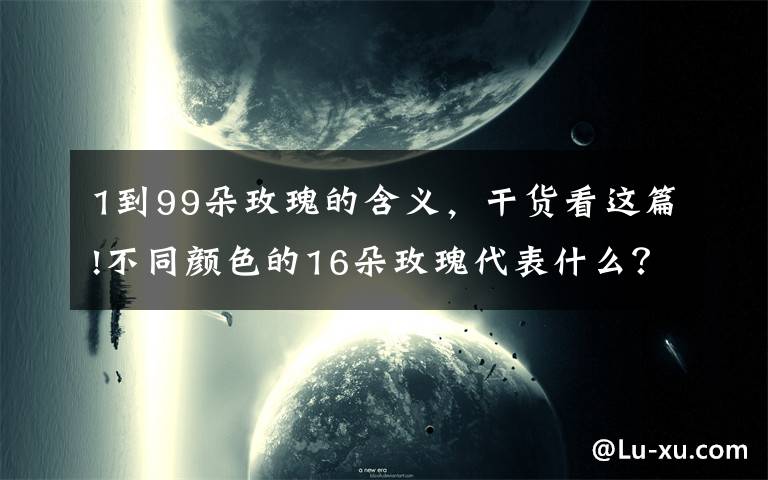 1到99朵玫瑰的含義，干貨看這篇!不同顏色的16朵玫瑰代表什么？