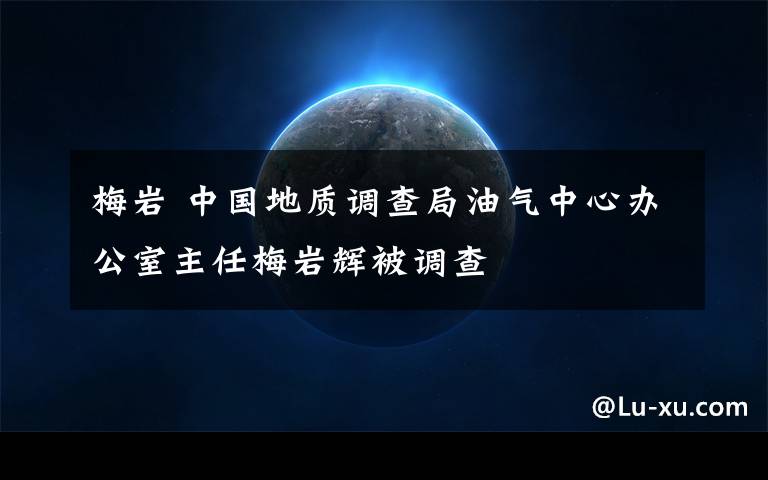 梅巖 中國(guó)地質(zhì)調(diào)查局油氣中心辦公室主任梅巖輝被調(diào)查