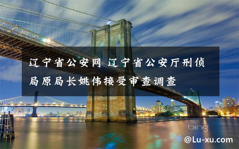 遼寧省公安網(wǎng) 遼寧省公安廳刑偵局原局長姚偉接受審查調(diào)查