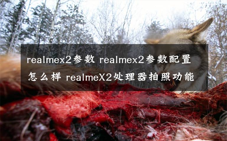 realmex2參數(shù) realmex2參數(shù)配置怎么樣 realmeX2處理器拍照功能介紹