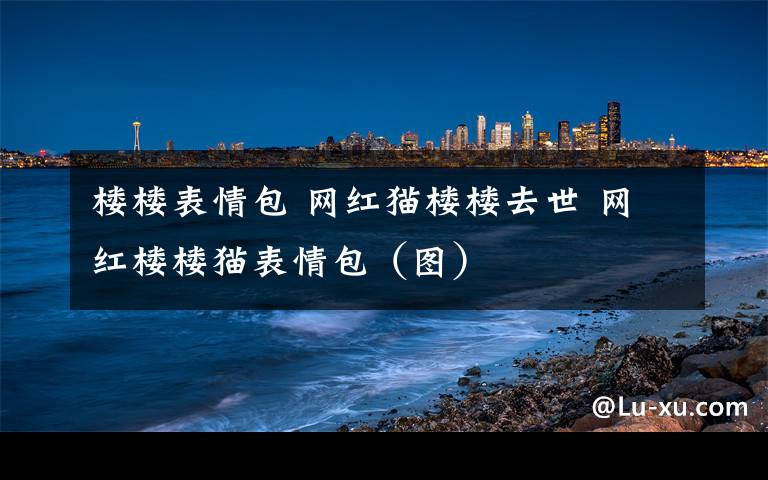 樓樓表情包 網(wǎng)紅貓樓樓去世 網(wǎng)紅樓樓貓表情包（圖）