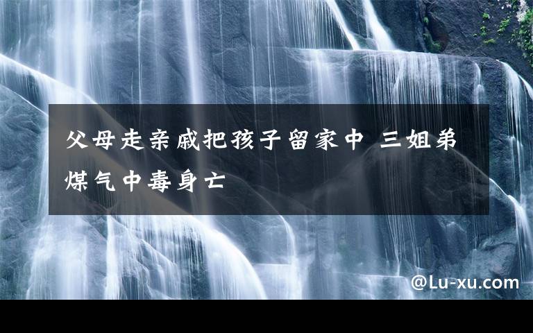 父母走親戚把孩子留家中 三姐弟煤氣中毒身亡