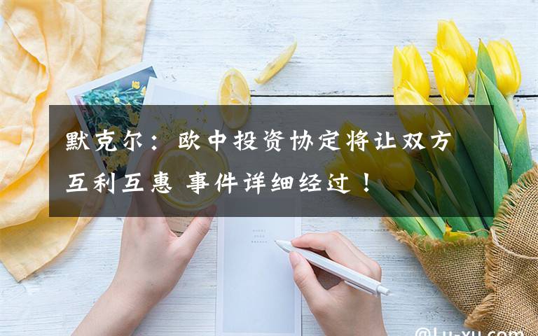 默克爾：歐中投資協(xié)定將讓雙方互利互惠 事件詳細(xì)經(jīng)過！