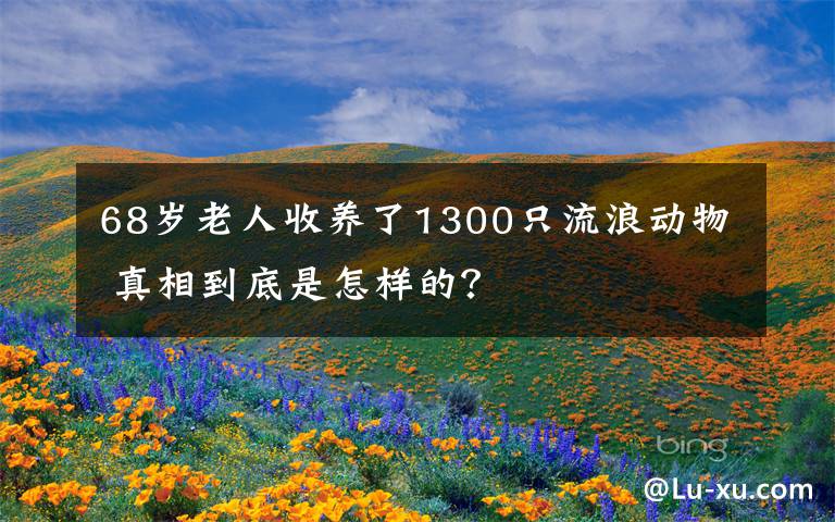 68歲老人收養(yǎng)了1300只流浪動物 真相到底是怎樣的？