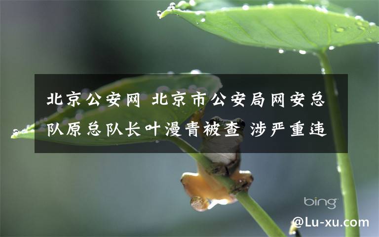 北京公安網(wǎng) 北京市公安局網(wǎng)安總隊(duì)原總隊(duì)長(zhǎng)葉漫青被查 涉嚴(yán)重違紀(jì)