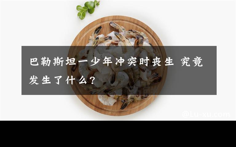 巴勒斯坦一少年沖突時喪生 究竟發(fā)生了什么?