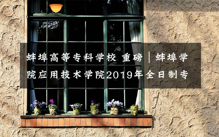 蚌埠高等?？茖W校 重磅｜蚌埠學院應用技術學院2019年全日制專科招生章程發(fā)布！