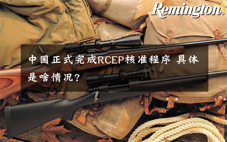 中國正式完成RCEP核準(zhǔn)程序 具體是啥情況?