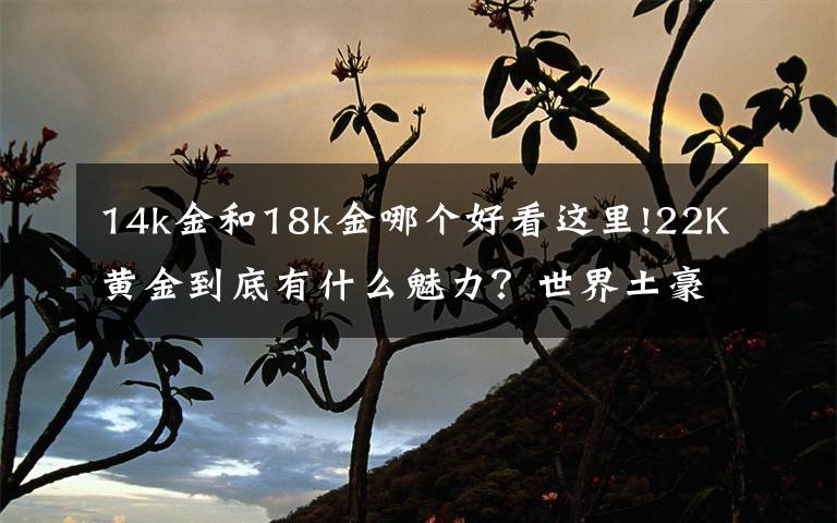 14k金和18k金哪個好看這里!22K黃金到底有什么魅力？世界土豪都喜歡，順利成為的珠寶新貴！