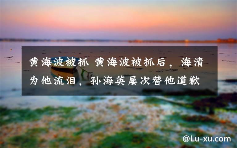 黃海波被抓 黃海波被抓后，海清為他流淚，孫海英屢次替他道歉，如今復(fù)出