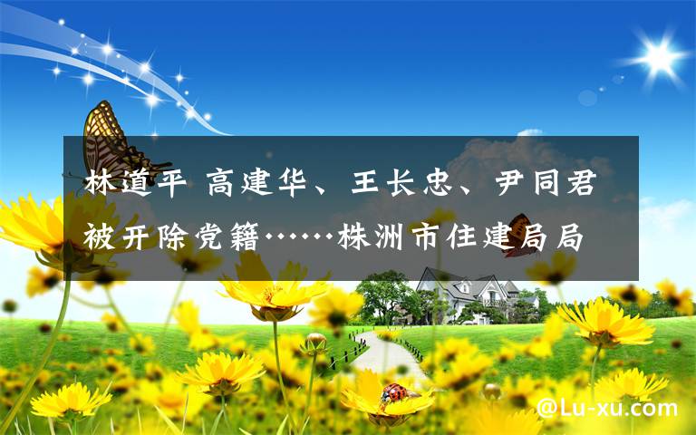 林道平 高建華、王長忠、尹同君被開除黨籍……株洲市住建局局長、副局長工作不力被問責