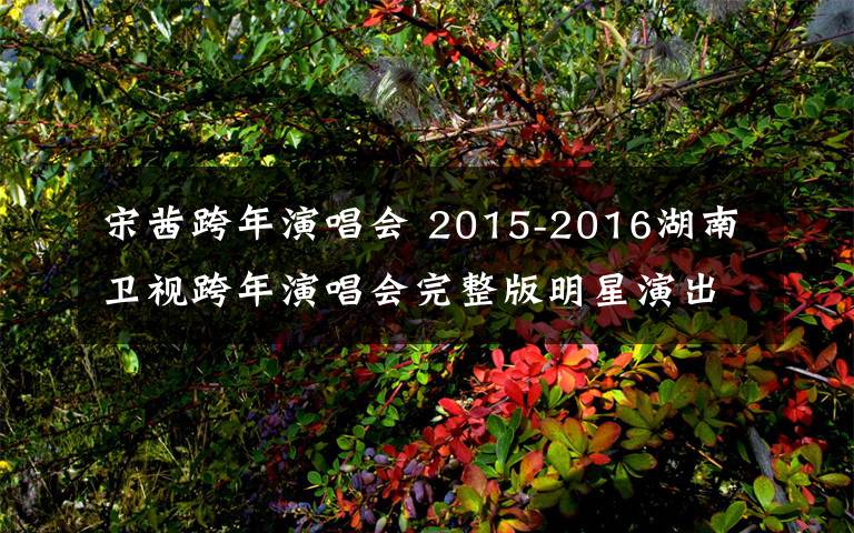 宋茜跨年演唱會(huì) 2015-2016湖南衛(wèi)視跨年演唱會(huì)完整版明星演出陣容曝光