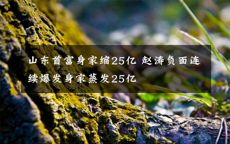 山東首富身家縮25億 趙濤負面連續(xù)爆發(fā)身家蒸發(fā)25億