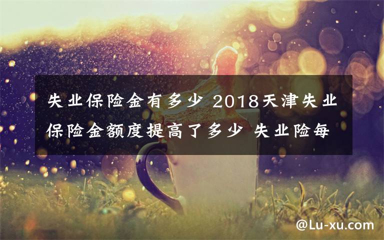 失業(yè)保險金有多少 2018天津失業(yè)保險金額度提高了多少 失業(yè)險每月多少錢