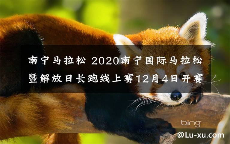 南寧馬拉松 2020南寧國際馬拉松暨解放日長跑線上賽12月4日開賽