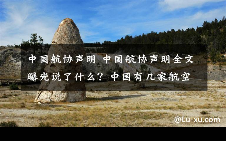 中國航協(xié)聲明 中國航協(xié)聲明全文曝光說了什么？中國有幾家航空公司向波音索賠原因