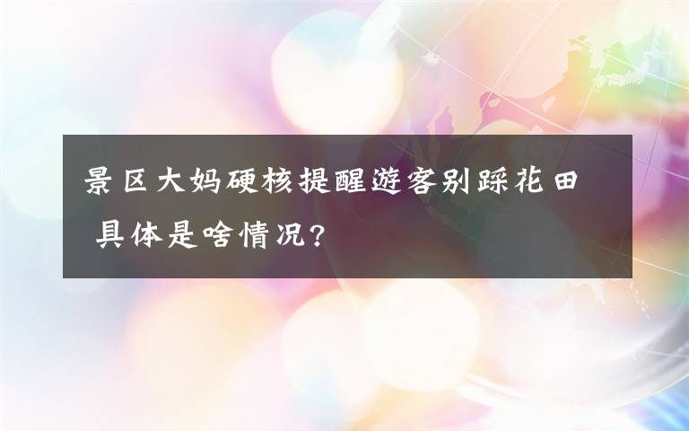 景區(qū)大媽硬核提醒游客別踩花田 具體是啥情況?