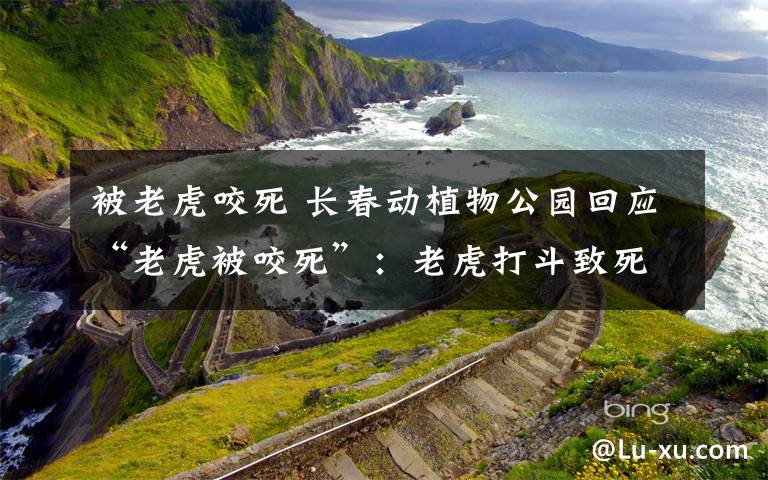 被老虎咬死 長春動植物公園回應(yīng)“老虎被咬死”：老虎打斗致死屬正?，F(xiàn)象