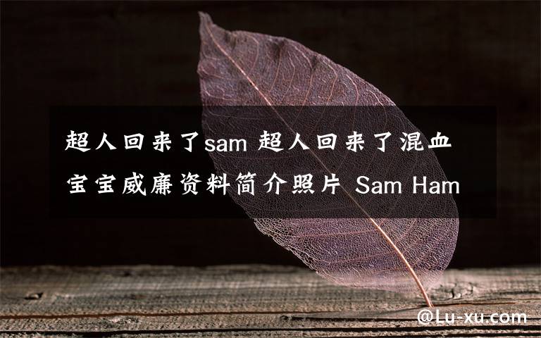 超人回來了sam 超人回來了混血寶寶威廉資料簡介照片 Sam Hammington兒子