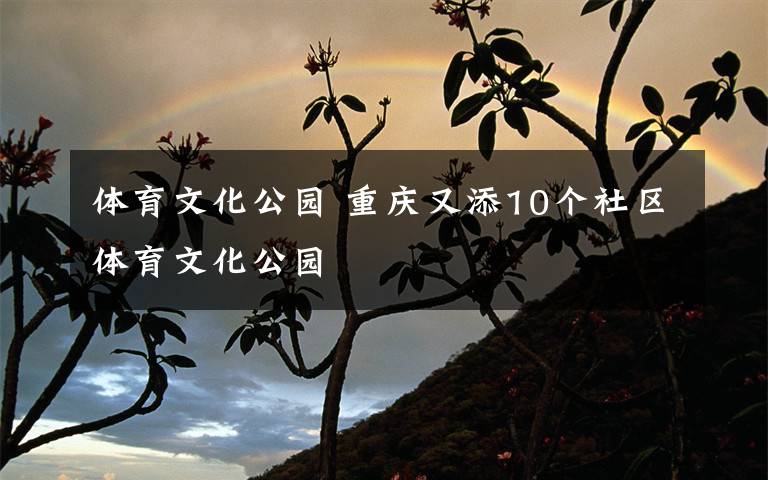 體育文化公園 重慶又添10個(gè)社區(qū)體育文化公園