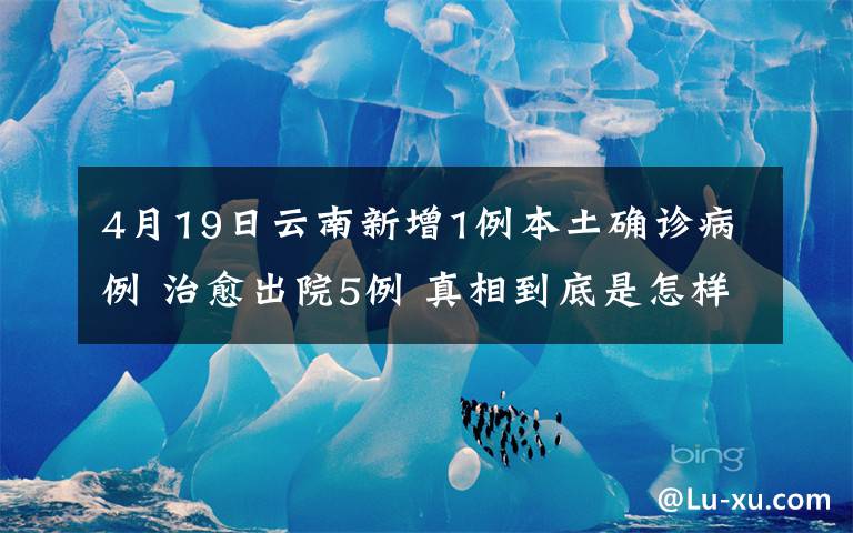 4月19日云南新增1例本土確診病例 治愈出院5例 真相到底是怎樣的？