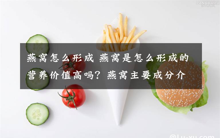 燕窩怎么形成 燕窩是怎么形成的營養(yǎng)價值高嗎？燕窩主要成分介紹