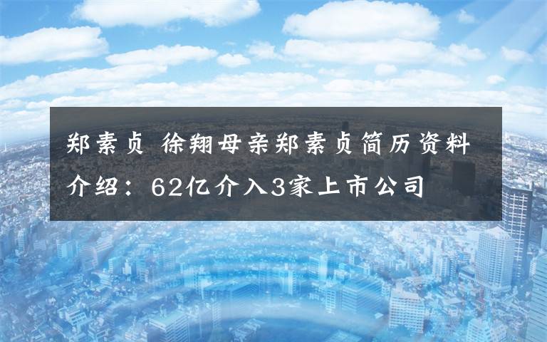 鄭素貞 徐翔母親鄭素貞簡歷資料介紹：62億介入3家上市公司