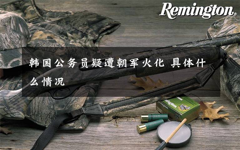 韓國(guó)公務(wù)員疑遭朝軍火化 具體什么情況