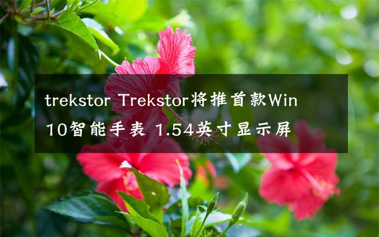 trekstor Trekstor將推首款Win10智能手表 1.54英寸顯示屏