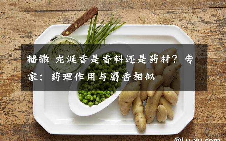 播撒 龍涎香是香料還是藥材？專家：藥理作用與麝香相似