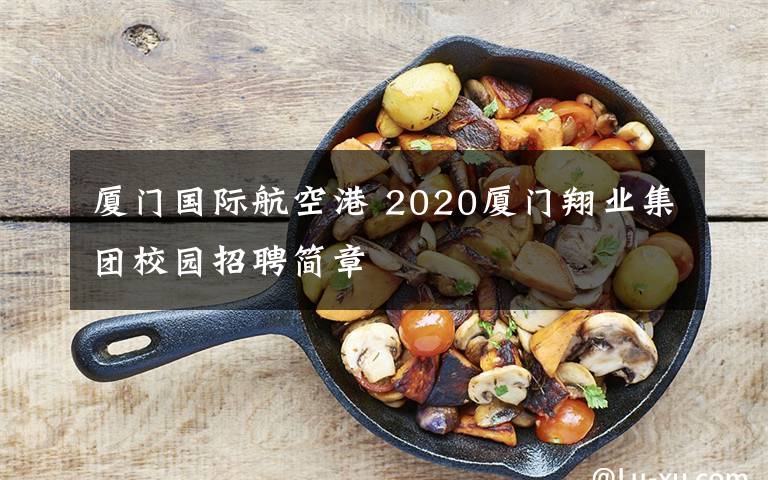 廈門國際航空港 2020廈門翔業(yè)集團(tuán)校園招聘簡章