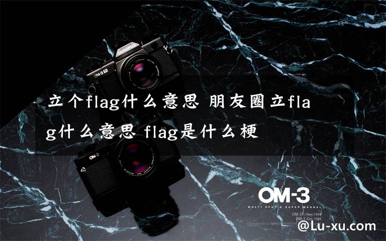 立個flag什么意思 朋友圈立flag什么意思 flag是什么梗