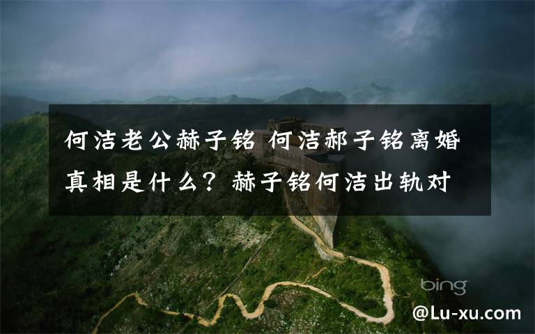 何潔老公赫子銘 何潔郝子銘離婚真相是什么？赫子銘何潔出軌對象是誰？