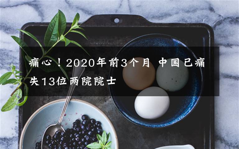 痛心！2020年前3個月 中國已痛失13位兩院院士