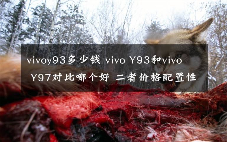 vivoy93多少錢 vivo Y93和vivo Y97對比哪個好 二者價格配置性能區(qū)別