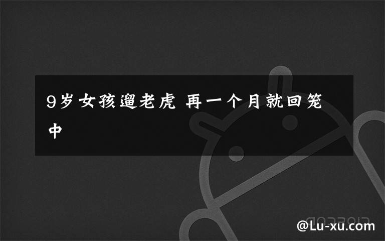 9歲女孩遛老虎 再一個(gè)月就回籠中