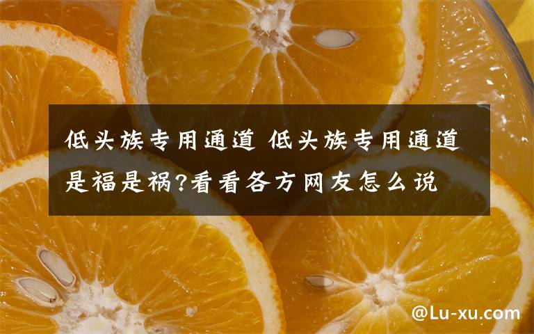 低頭族專用通道 低頭族專用通道是福是禍?看看各方網(wǎng)友怎么說